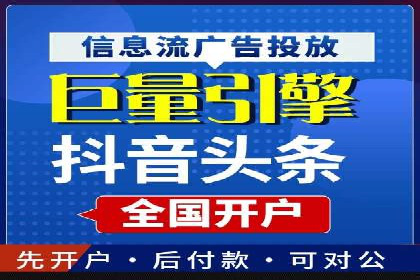 短视频信息流营销实战：小红书的成长之路