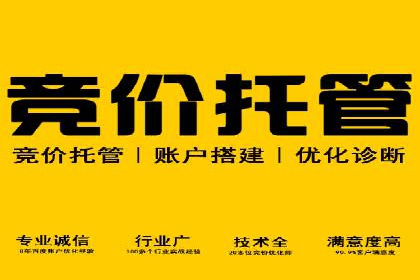 竞价推广实战：案例解析行业佼佼者的秘诀